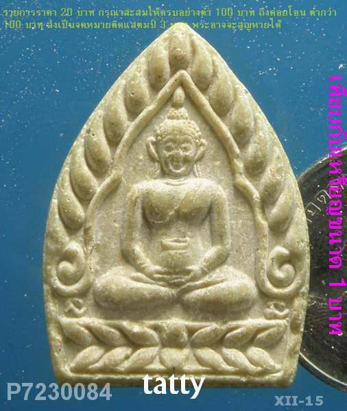 พระผงเจ้าสัว รุ่นมหาเศรษฐี วัดบึงตะกู ชลบุรี