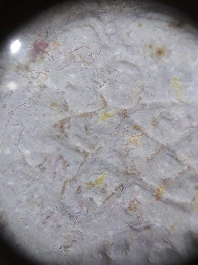 หลวงปู่ทิมออกวัดบ่อวิน