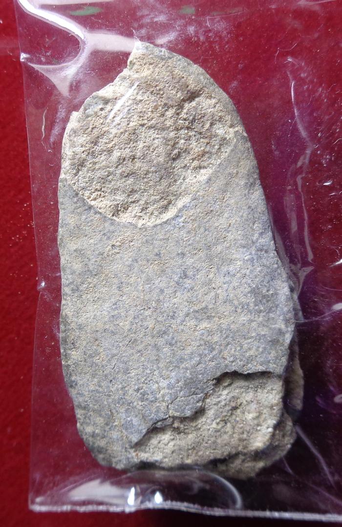 พระนาคปรก กรุวัดมอญ อ่างทอง สภาพเดิมๆ