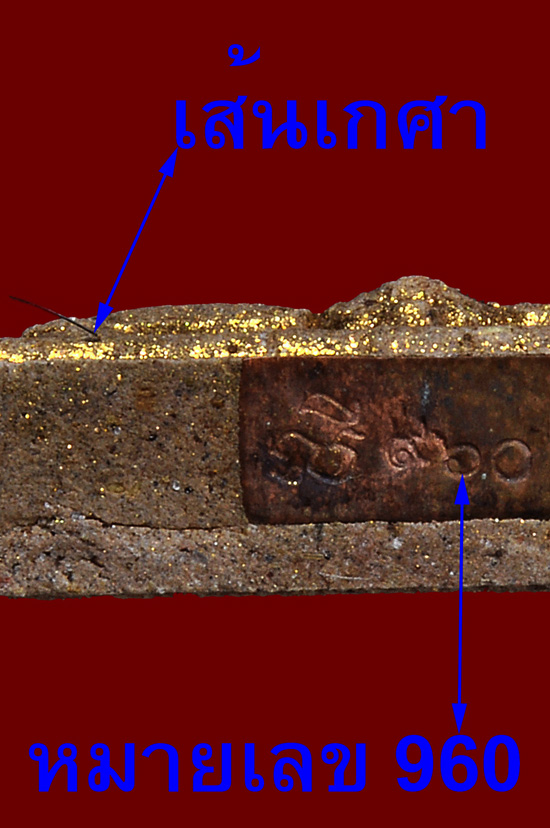 พระผงรูปเหมือนตะกรุดทองคำ 1 ดอก หลวงปู่บัว ถามโก วัดศรีบุรพาราม พศ.2560 หมายเลข No.960