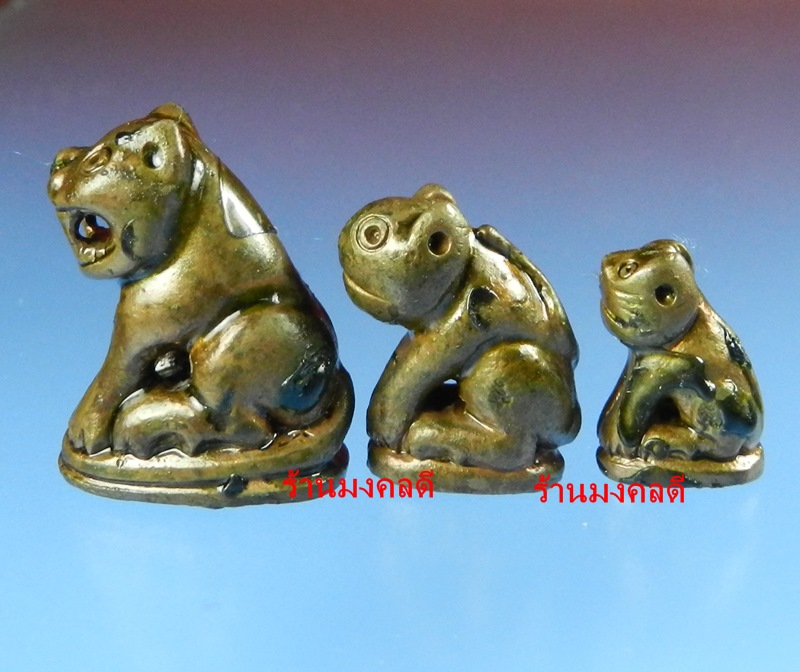 พรายพยัคฆ์ เสือพ่อแม่ลูก เนื้อนวะแช่น้ำมันงาเดือด หลวงปู่บัว ถามโก วัดเกาะตะเคียน จ.ตราด ปี53