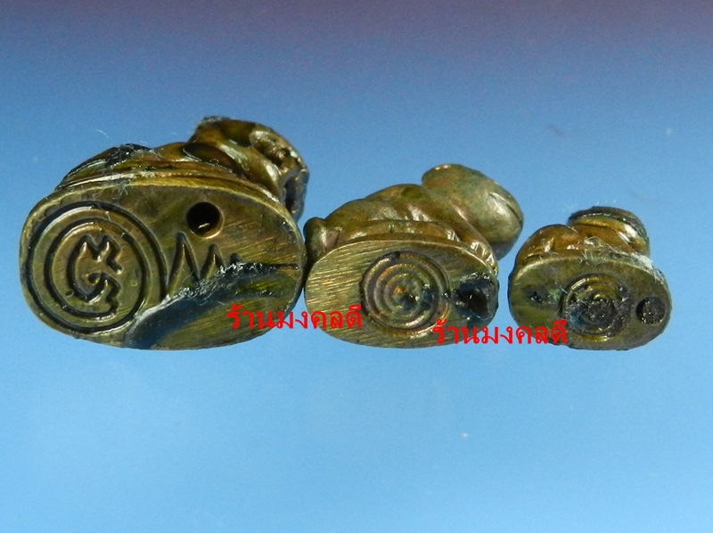 พรายพยัคฆ์ เสือพ่อแม่ลูก เนื้อนวะแช่น้ำมันงาเดือด หลวงปู่บัว ถามโก วัดเกาะตะเคียน จ.ตราด ปี53