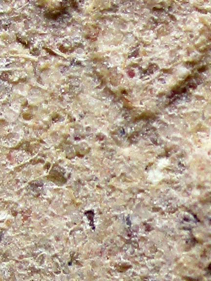 ปรกโพธิ์ 9 ใบ หลังแม่ธรณีบีบมวยผม เนื้อทราย หลวงปู่หมุนปลุกเสก4ปี 5พิธี ออกวัดซับลำใย