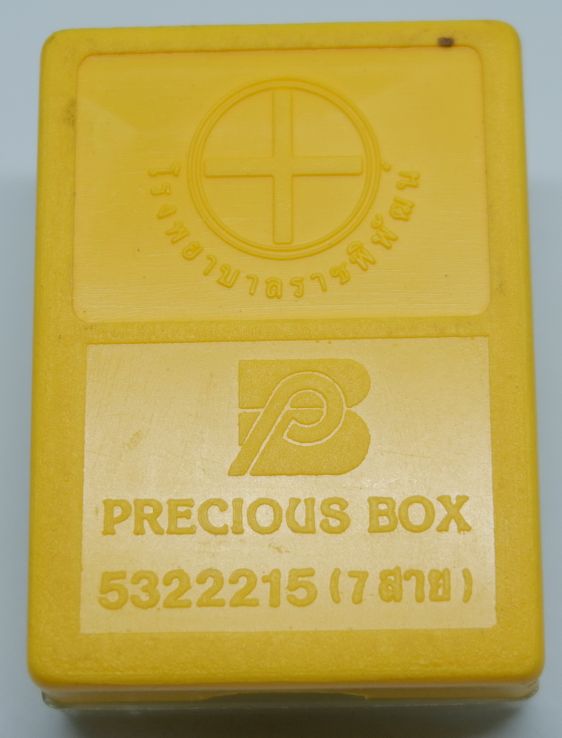 พระกำลังแผ่นดิน รัชการที่ 9 องค์ที่ 2