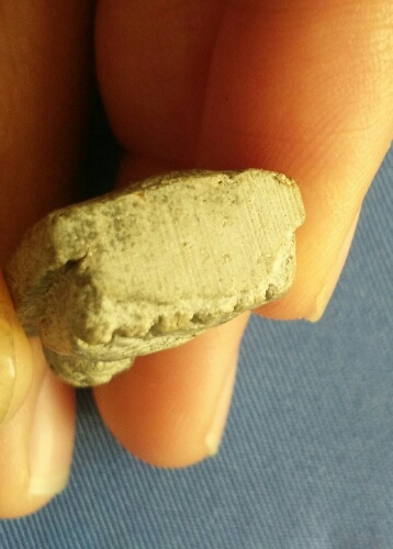 หลวงพ่อทวด-หลวงปู่หมุน "รุ่นพระเจ้าห้าพระองค์" พิมพ์พระรอด มหาพิธีพุทธาภิเษก 5 ครั้งใหญ่ของวัดสุทัศน