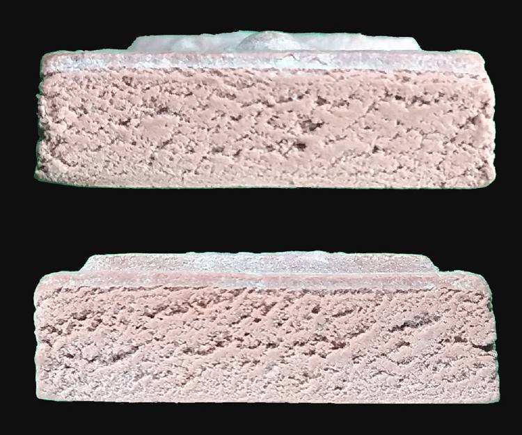 พระหางหมาก หลวงพ่อฤาษีลิงดำ วัดท่าซุง ปี 2533(5)