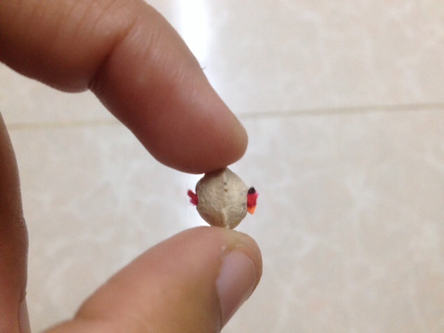 เม็ดประคำปราบหงสา เม็ดเล็ก หลวงปู่หมุน