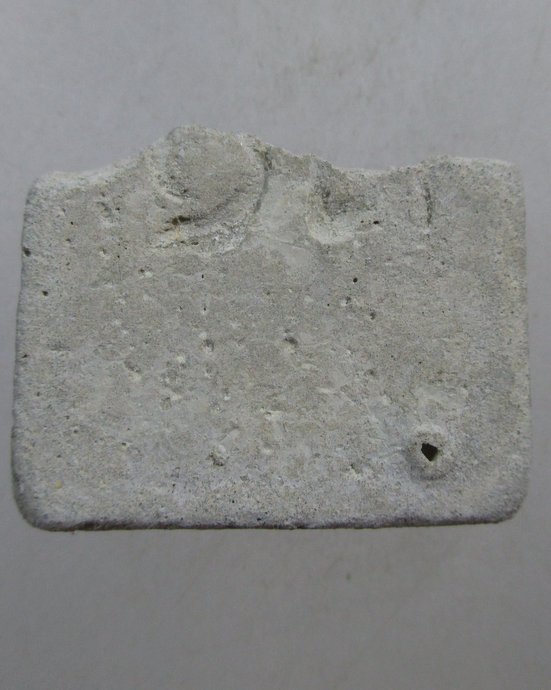 ๒๐ ชิ้นพระสมเด็จผงพุทธคุณผสมปูน หลวงปู่ดู่ วัดสะแก​ (เอาไว้ศึกษาดูเนื้อพระ หรือบูชาก็เป็นมงคลยิ่ง)