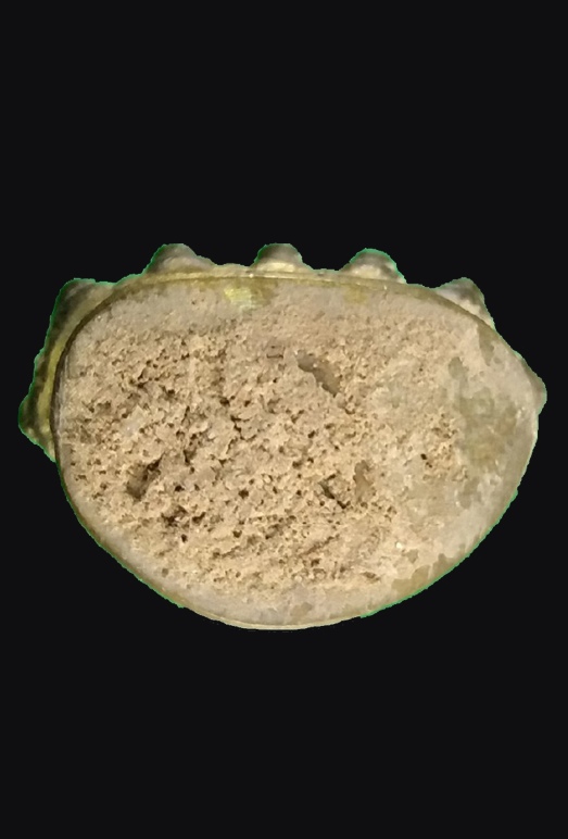 	พระกริ่งอุบาเก็ง หลวงปู่หมุน รุ่น พระเจ้า 5 พระองค์ เนื้อสัมฤทธิ์ทองดอกบวบ แจกเฉพาะพระสงฆ์ที่เข้าร่