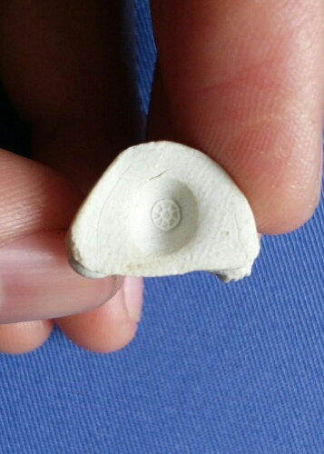 พระพิมพ์เชียงเเสน เนื้อผง ก้นดอกจันทร์ ท่านเจ้าคุณนร ปี2513. พร้อมบัตร