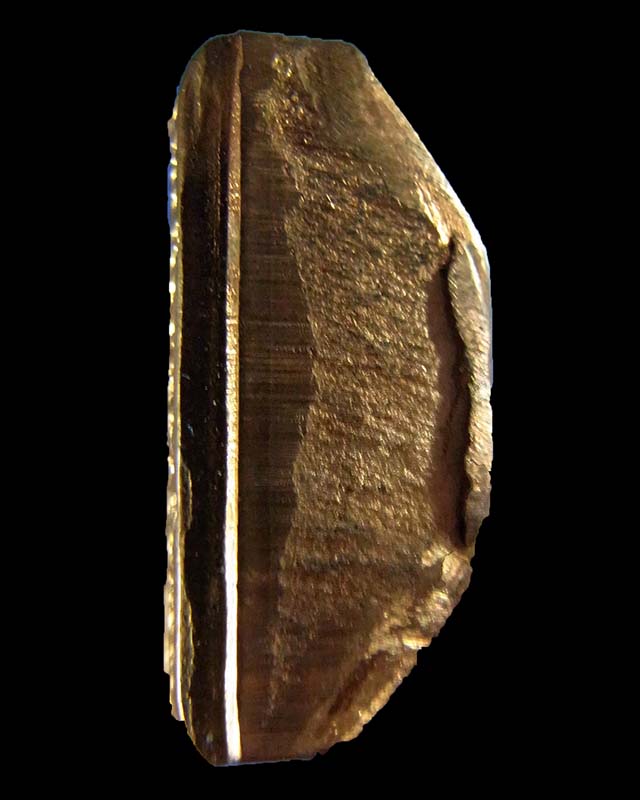 รูปเหมือนปั๊มรุ่นแรก หลวงปู่บัว ถามโก  รุ่น สร้างบารมี 