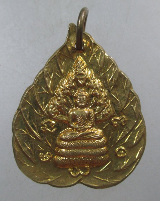 ๒๐ เหรียญพระนาคปรก วัดถ้ำปาฏิหาริย์ จ.อุบลราชธานี