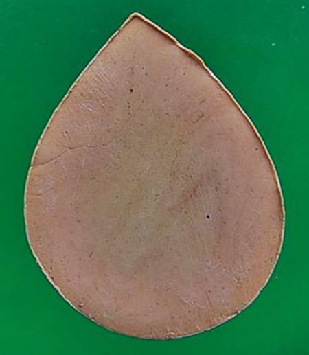 พระพิฆเณศวร์ เนื้อผงพุทธคุณ  หลวงปู่หมุน วัดบ้านจาน ปลุกเสก ออกวัดซับลำใย ปี43