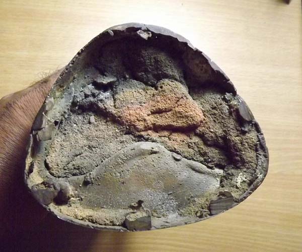 พระสิวลี บูชา หลวงพ่อแพ วัดพิกุลทอง ปี 2499 จ.สิงห์บุรี