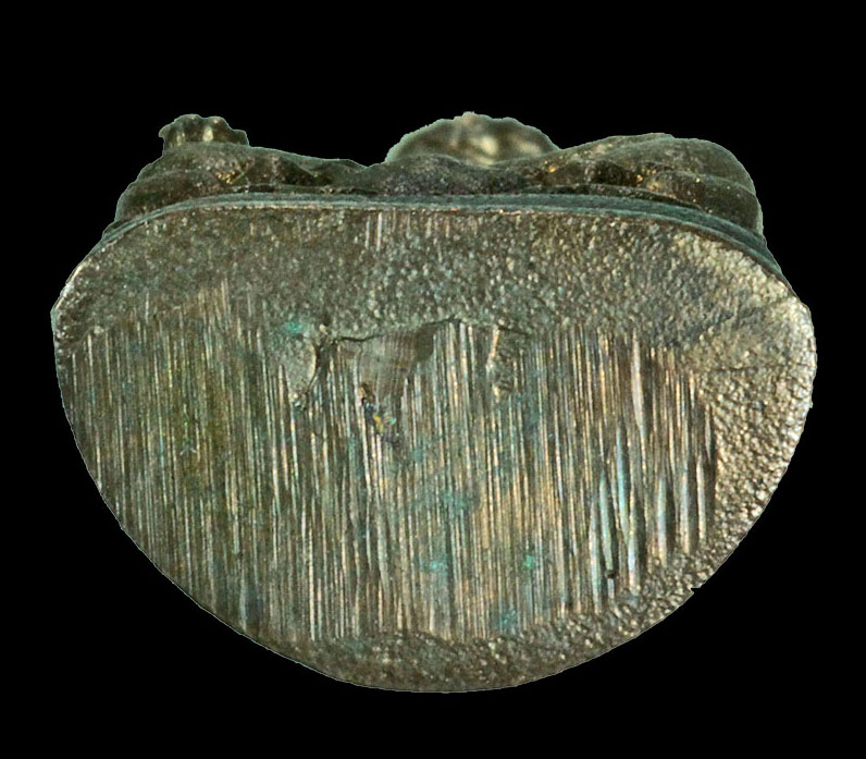 พระชัยวัฒน์ไพรีพินาศ เนื้อนวะโลหะ วัดบวรนิเวศวรวิหาร รุ่น80ปี ญสส ปี2536 