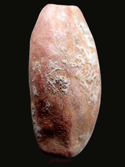 พระลีลาทุ่งเศรษฐี หลวงพ่อกวย หลวงปู่หมุนปลุกเสก