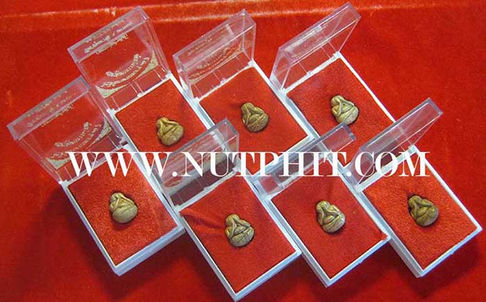 ชุดพระปิดตาล้มลุก หลวงปู่คำพันธ์ โฆษะปัญโญ ๗ องค์ รับประกันสวยกริ๊บยันกล่องทุกองค์*300