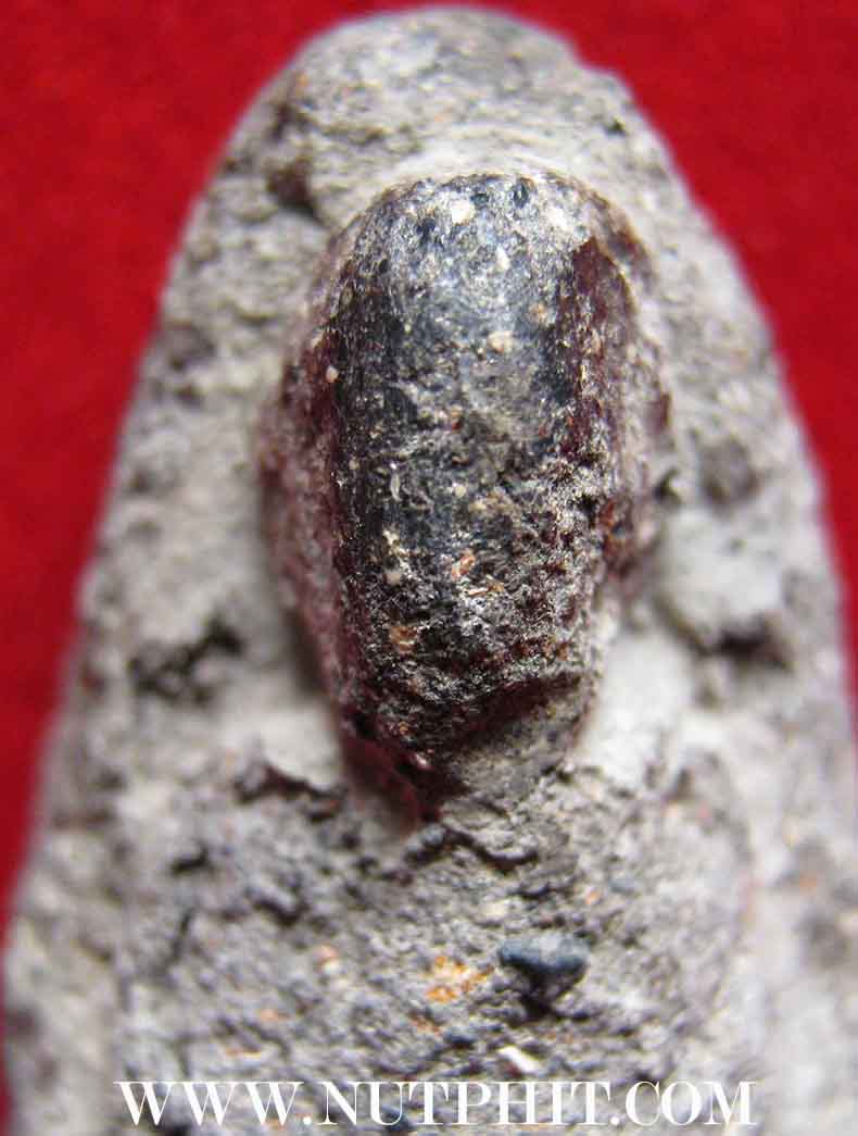 หลวงปู่ทวด วัดช้างให้ ปี 2497 พิมพ์กลาง+ บัตรรับรองพระแท้ *18