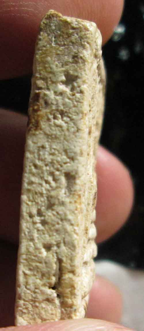 สมเด็จวัดระฆังพิมพ์เจดีย์ หลวงปู่นาค  ปี ๒๔๙๕