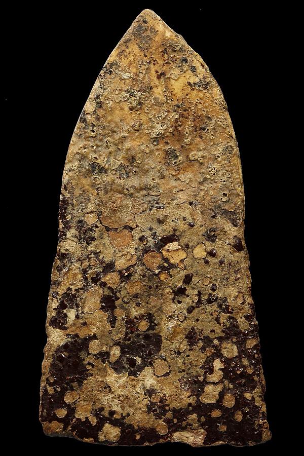 พระพิมพ์กลีบบัวใหญ่วัดสามปลื้มที่4งานสมาคมพร้อมใบประกาศ