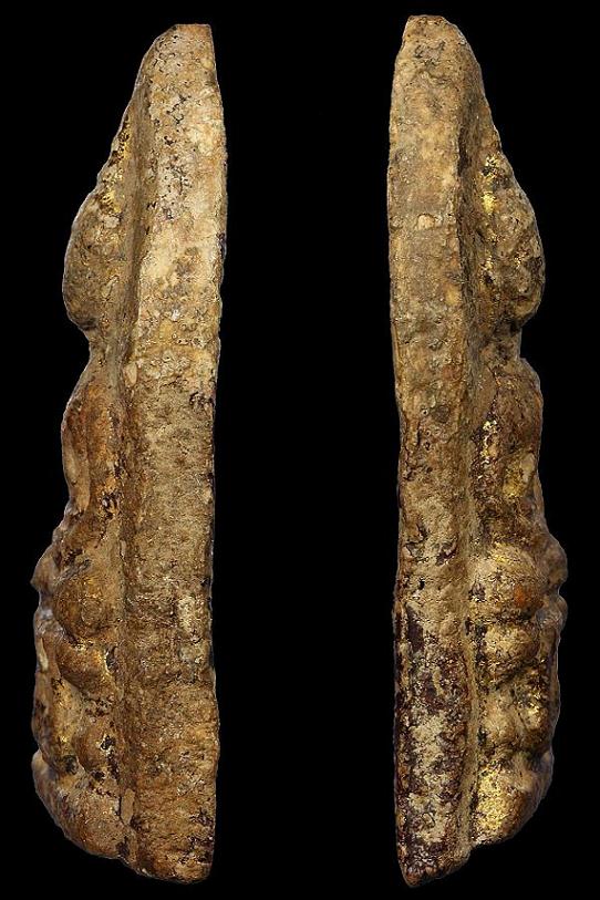 พระพิมพ์กลีบบัวใหญ่วัดสามปลื้มที่4งานสมาคมพร้อมใบประกาศ