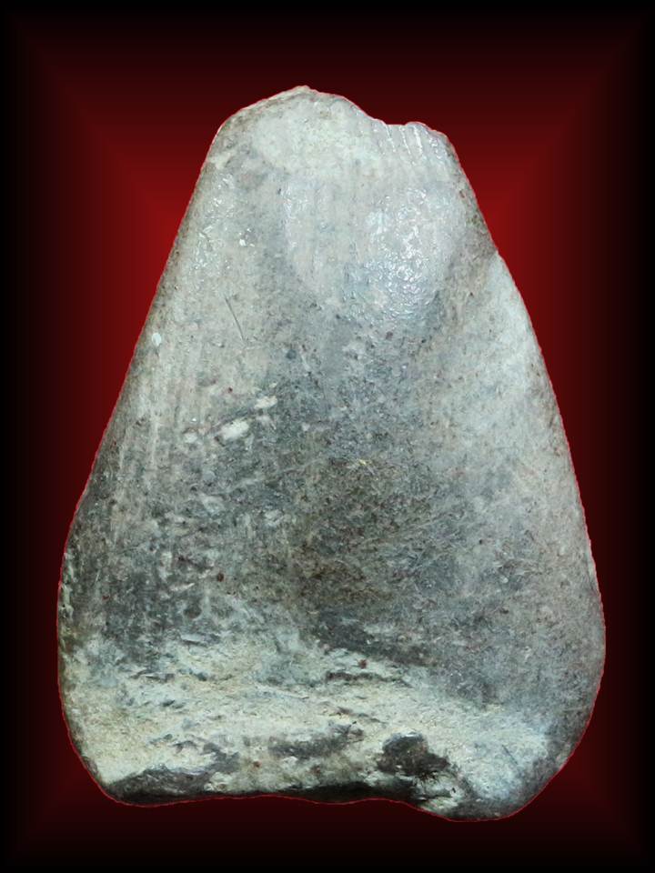 นางแขนอ่อนเนื้อดิน