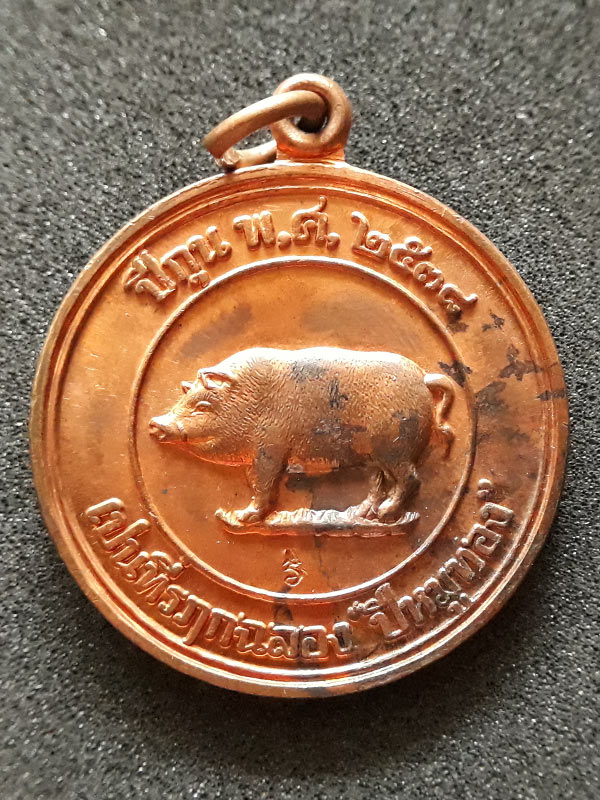 เหรียญหมูมหาลาภหลวงพ่อสาคร วัดหนองกรับ จ.ระยอง เนื้อทองแดง ปี 2538