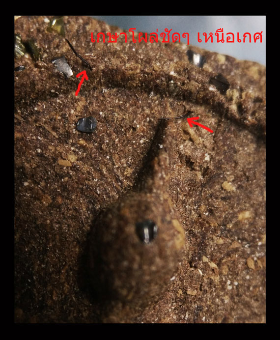 พระสมเด็จโนนผึ้งหลวงปู่หมุน (พิมพ์ใหญ่)เนื้อว่านไพรดำแก่ชานหมาก ฝังพลอยเสก เกษาโผล่เหนือเกศหายาก