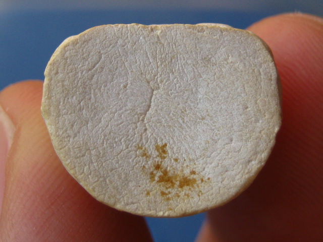 พระกริ่ง ผง สมเด็จพระสังฆราช วัดบวร ปี2538