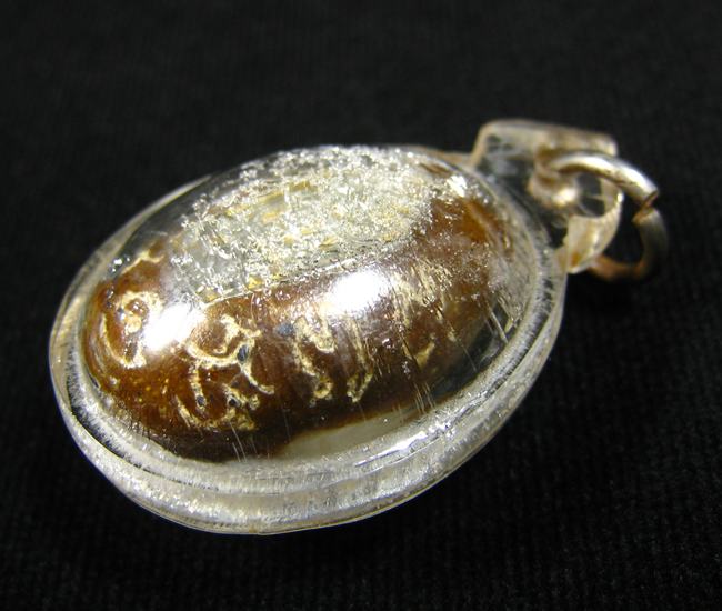 เบี้ยแก้ อุดชันโรงฝังปรกหนุมาน จารยันต์ หลวงปู่หมุน วัดบ้านจาน ออกวัดซับลำใย ปี 2543