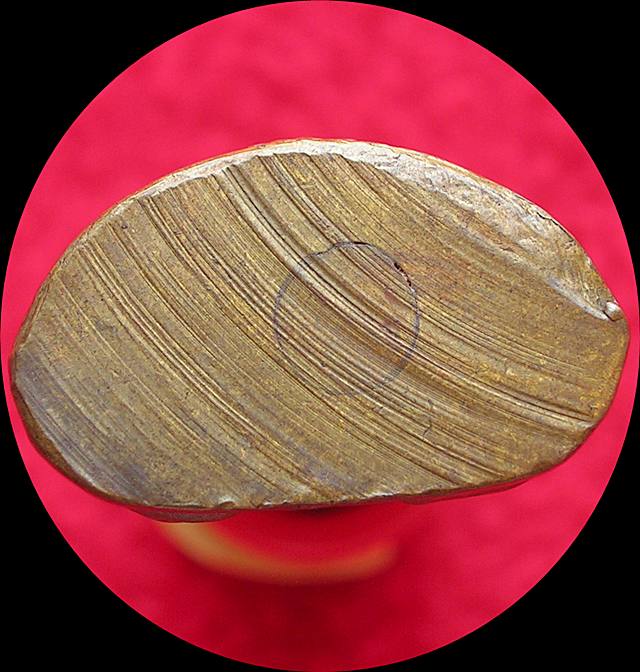 รูปเหมือนปั๊ม หลวงพ่อเงิน วัดหอไกร ปี 15