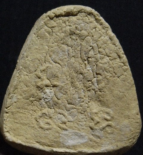 พระปิดตา ปี2516 เนื้อเหลือง วัดยายร้า จ.ระยอง หลวงปู่ทิม ปลุกเสก มาพร้อมบัตรรับรอง