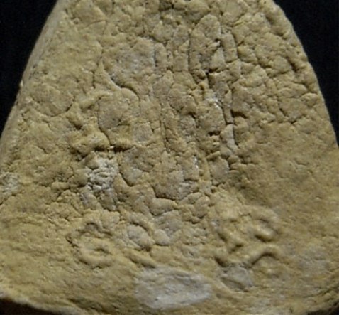 พระปิดตา ปี2516 เนื้อเหลือง วัดยายร้า จ.ระยอง หลวงปู่ทิม ปลุกเสก มาพร้อมบัตรรับรอง