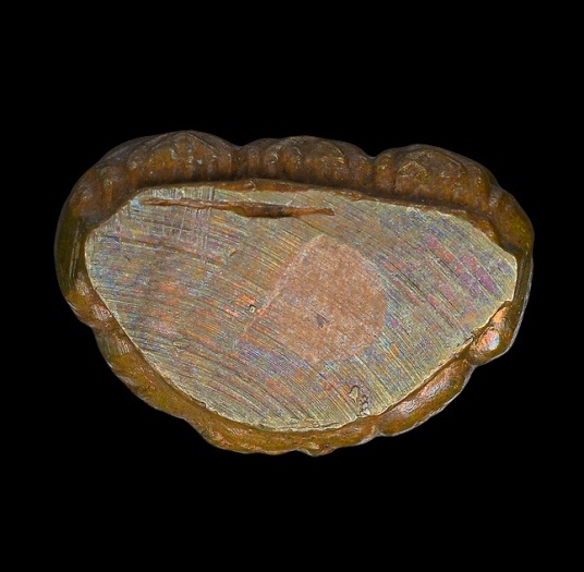 พระกริ่งรักษาดินแดน ปี2513 เนื้อทองเหลือง จ.กรุงเทพฯ ท่านเจ้าคุณนรฯ ปลุกเสก