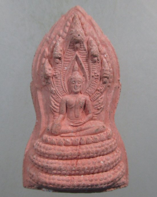 ๒๐ พระนาคปรก สร้างศูนย์วิปัสนา พุทธบริษัทอีสาน