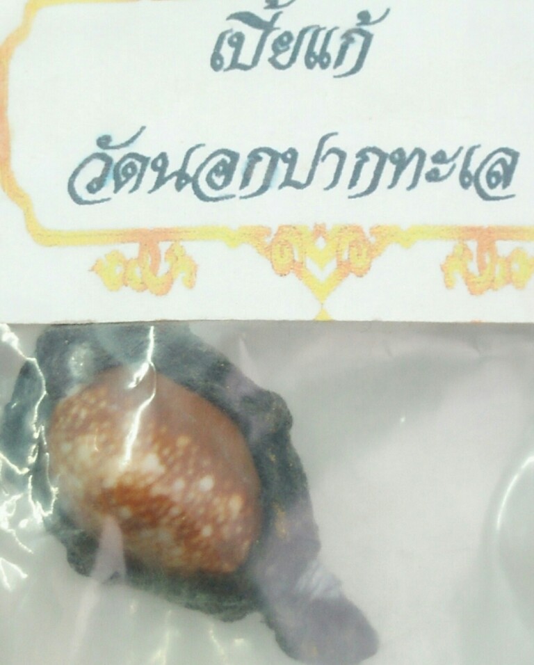 # 20 บาท เบี้ยแก้. วัดนอกปากทะเล..สวยๆ