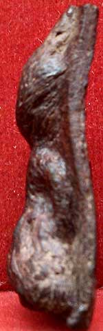 *พระว่านจำปาสัก พิมพ์ผงสุพรรณ*