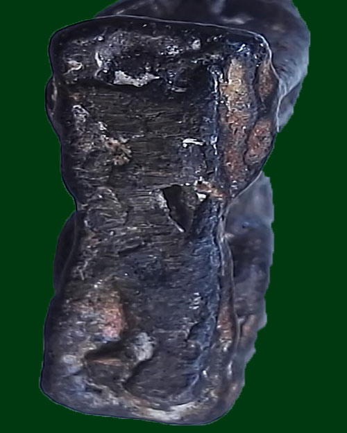 สิงห์คอยาวหลวงพ่อกวย วัดโฆสิตาราม จ.ชัยนาท เนื้อตะกั่ว 