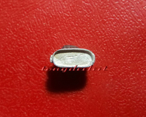 หมูจิ๋วมหาลาภ หลวงพ่อเปิ่น วัดบางพระ จ.นครปฐม เนื้อเงิน น่ารักมากค่ะ