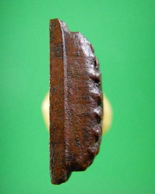 หลวงปู่ทวดหลังตัวหนังสือ วัดช้างให้ ปี 2524 เนื้อทองแดง วัดใจเคาะเดียว 