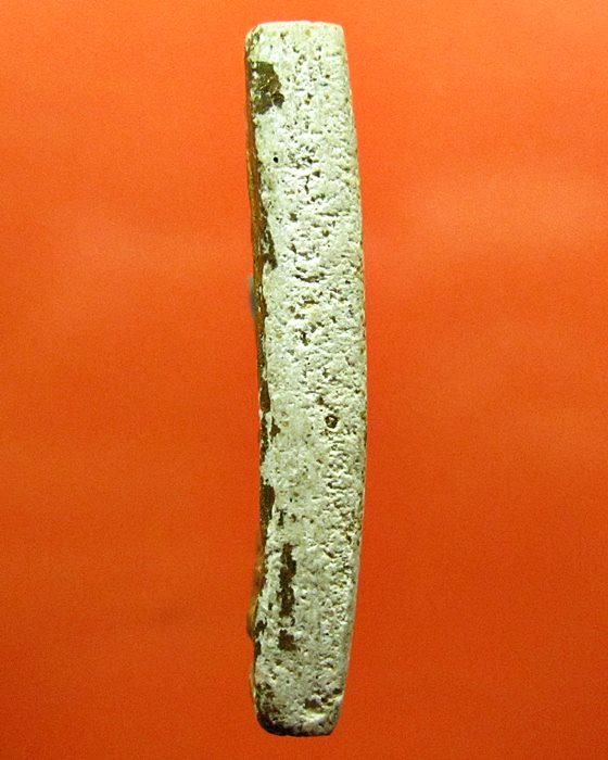 สมเด็จปรกโพธิ์ หลวงปู่นาค วัดระฆัง