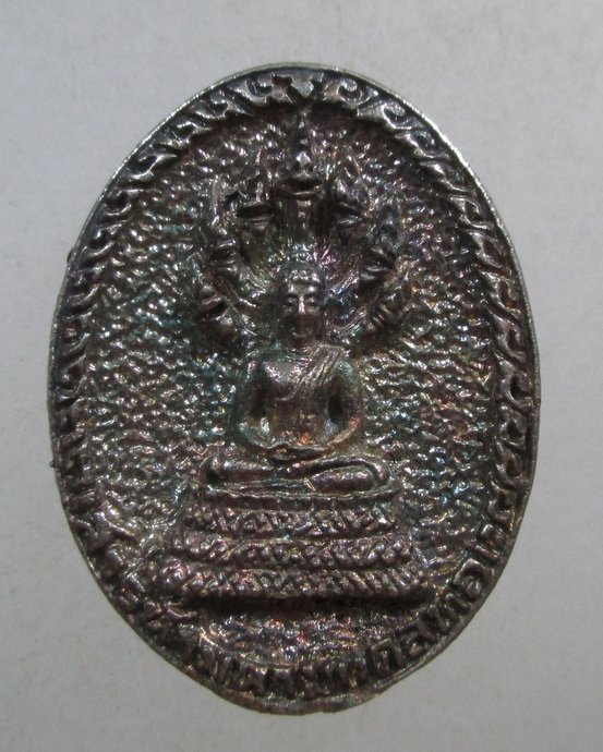 ๒๐ เหรียญหล่อพระนาคปรก-หลวงปู่บุดดา ๑๐๐ ปี