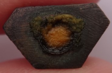 รูปหล่อหลวงตาดำวัดกาญจนสิงหาสน์(วัดทอง) ปี44 อาจารย์ของ หลวงพ่อชาญณรงค์ เคาะเดียว