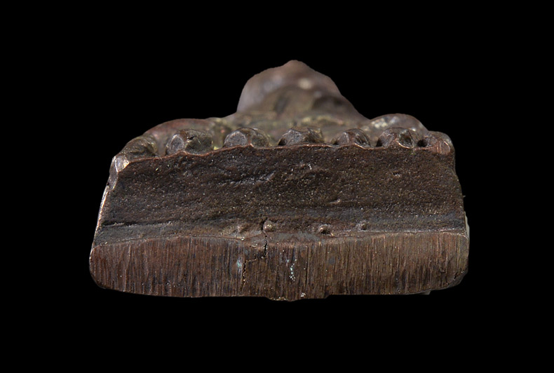 หลวงปู่ทวด หลังเตารีด เนื้อนวะโลหะ พิมพ์เล็ก รุ่นสร้างโรงพยาบาลโคกโพธิ์ ปี 2539