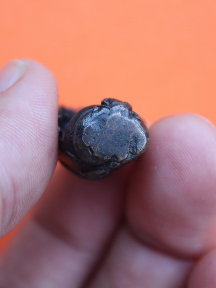 ((เคาะเดียวแดง)) รูปหล่อพระนาคปรก วัดนาคกลางวรวิหาร