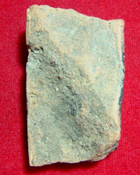 พระแผงตัดพระเจ้าสิบชาติ กรุวัดเจ้าชาย จ.อยุธยา