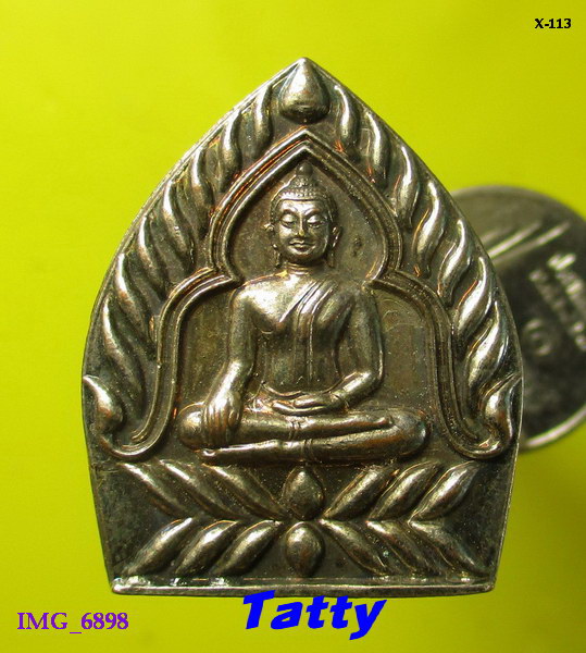 เหรียญเจ้าสัว หลังหนุมาน วัดพัฒนา จ.อ่างทอง ปี2557