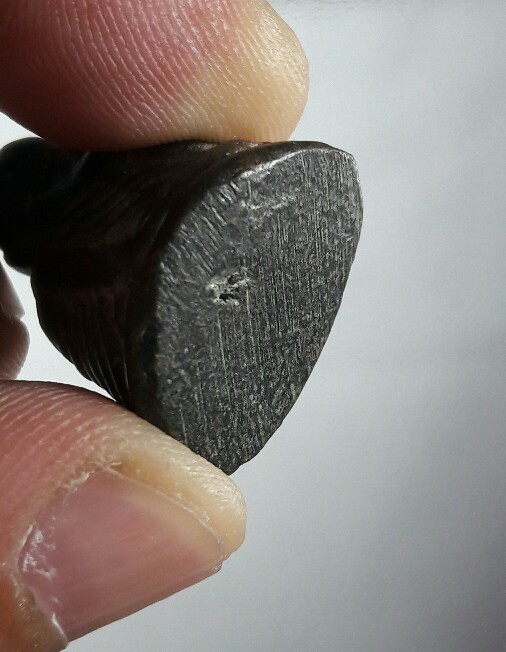 หลวงพ่อเงินปืนแตก วัดคงคาราม ปี28 ไตรมาส หายาก