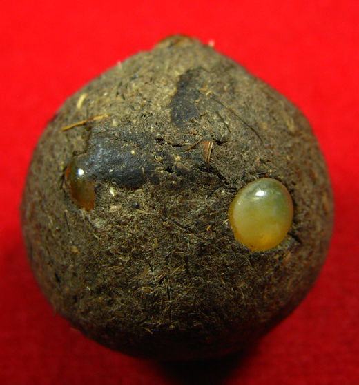 ลูกอมยุคต้น หลวงปู่หมุน ฐิตสีโล ออกวัดป่าหนองหล่ม ตอกโค๊ด ตะกรุด 1 ดอก เม็ดแร่ เกศาสุดยอดมวลสาร (12)