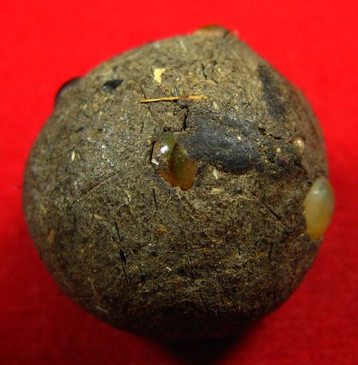 ลูกอมยุคต้น หลวงปู่หมุน ฐิตสีโล ออกวัดป่าหนองหล่ม ตอกโค๊ด ตะกรุด 1 ดอก เม็ดแร่ เกศาสุดยอดมวลสาร (12)